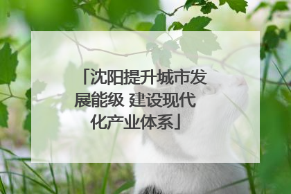 沈阳提升城市发展能级 建设现代化产业体系
