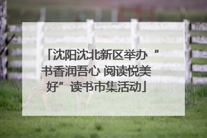沈阳沈北新区举办“书香润吾心 阅读悦美好”读书市集活动