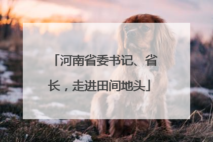 河南省委书记、省长，走进田间地头