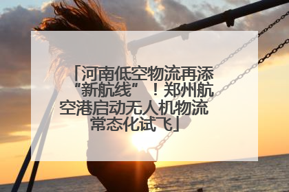 河南低空物流再添“新航线”！郑州航空港启动无人机物流常态化试飞