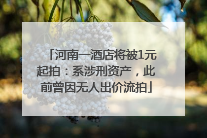 河南一酒店将被1元起拍：系涉刑资产，此前曾因无人出价流拍