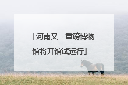 河南又一重磅博物馆将开馆试运行