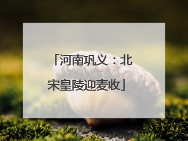 河南巩义：北宋皇陵迎麦收