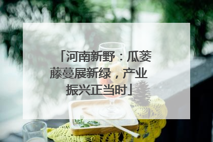 河南新野：瓜蒌藤蔓展新绿，产业振兴正当时