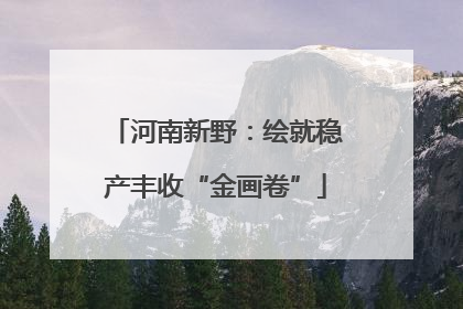 河南新野：绘就稳产丰收“金画卷”
