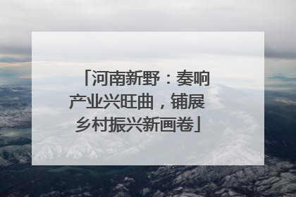 河南新野：奏响产业兴旺曲，铺展乡村振兴新画卷