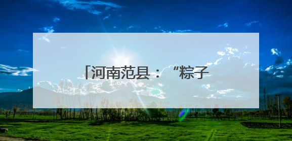 河南范县：“粽子村”香飘振兴路