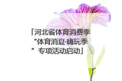 河北省体育消费季“体育消夏·嗨玩季”专项活动启动