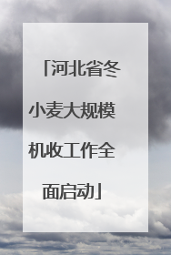 河北省冬小麦大规模机收工作全面启动