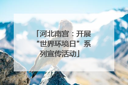 河北南宫：开展“世界环境日”系列宣传活动