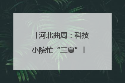 河北曲周：科技小院忙“三夏”