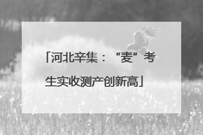 河北辛集：“麦”考生实收测产创新高