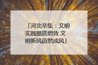 河北辛集：文明实践提质增效 文明新风蔚然成风