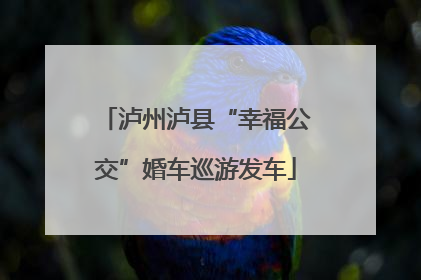 泸州泸县“幸福公交”婚车巡游发车