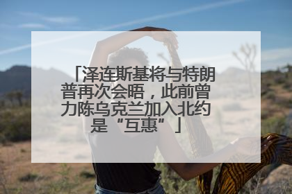 泽连斯基将与特朗普再次会晤，此前曾力陈乌克兰加入北约是“互惠”