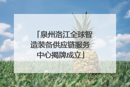 泉州洛江全球智造装备供应链服务中心揭牌成立