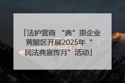 法护营商 “典”惠企业 黄陂区开展2025年“民法典宣传月”活动
