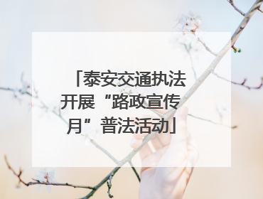 泰安交通执法开展“路政宣传月”普法活动