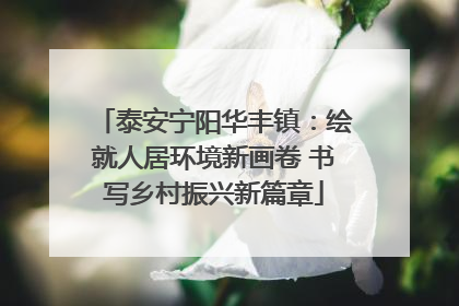泰安宁阳华丰镇：绘就人居环境新画卷 书写乡村振兴新篇章