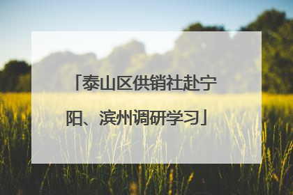 泰山区供销社赴宁阳、滨州调研学习