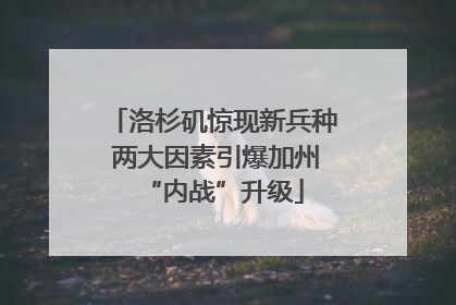 洛杉矶惊现新兵种 两大因素引爆加州“内战”升级