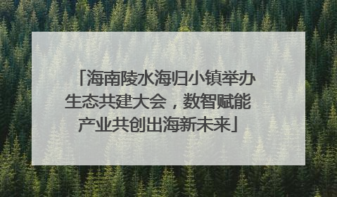 海南陵水海归小镇举办生态共建大会，数智赋能产业共创出海新未来
