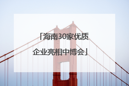 海南30家优质企业亮相中博会