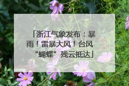 浙江气象发布：暴雨！雷暴大风！台风“蝴蝶”残云抵达