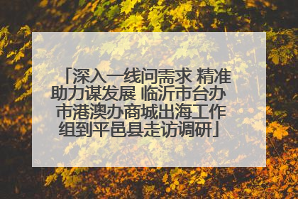 深入一线问需求 精准助力谋发展 临沂市台办 市港澳办商城出海工作组到平邑县走访调研