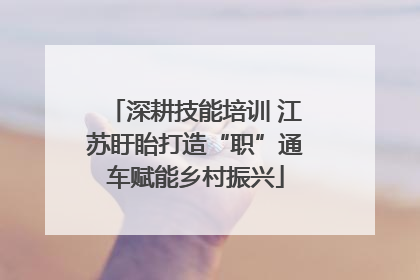 深耕技能培训 江苏盱眙打造“职”通车赋能乡村振兴