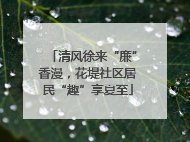 清风徐来“廉”香漫，花堤社区居民“趣”享夏至