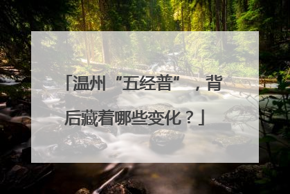 温州“五经普”，背后藏着哪些变化？