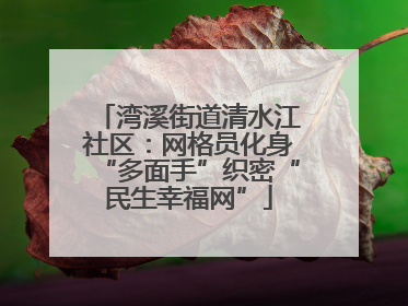 湾溪街道清水江社区：网格员化身“多面手”织密“民生幸福网”