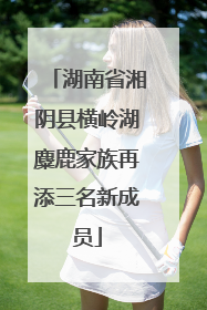 湖南省湘阴县横岭湖麋鹿家族再添三名新成员