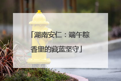 湖南安仁：端午粽香里的藏蓝坚守