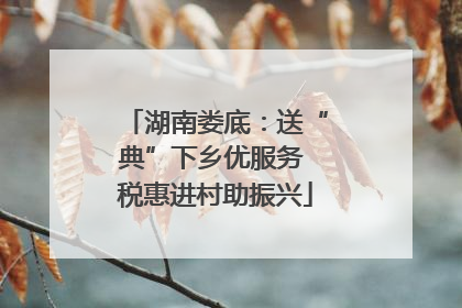 湖南娄底：送“典”下乡优服务 税惠进村助振兴