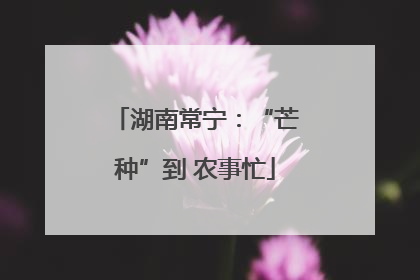 湖南常宁：“芒种”到 农事忙