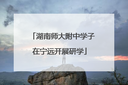 湖南师大附中学子在宁远开展研学