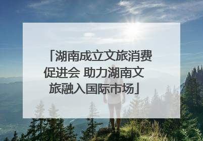 湖南成立文旅消费促进会 助力湖南文旅融入国际市场
