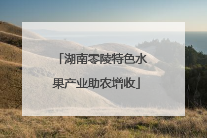 湖南零陵特色水果产业助农增收