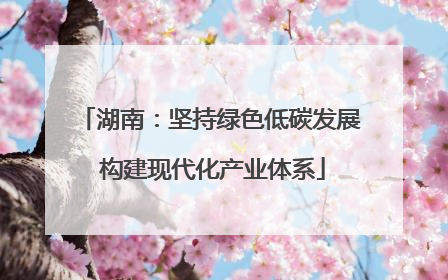 湖南：坚持绿色低碳发展 构建现代化产业体系