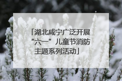 湖北咸宁广泛开展“六一”儿童节消防主题系列活动