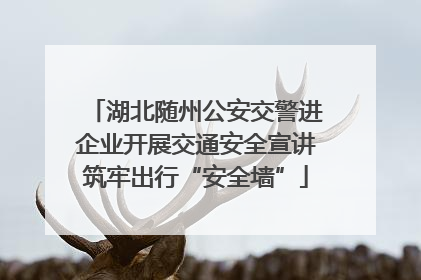 湖北随州公安交警进企业开展交通安全宣讲筑牢出行“安全墙”