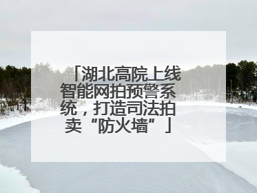 湖北高院上线智能网拍预警系统，打造司法拍卖“防火墙”