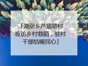 湖潮乡芦猫塘村:夜访乡村巷陌,驻村干部情暖民心