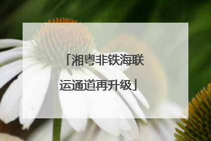 湘粤非铁海联运通道再升级