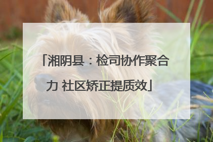 湘阴县：检司协作聚合力 社区矫正提质效