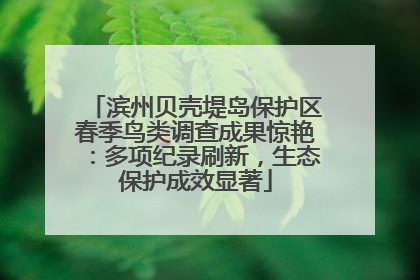 滨州贝壳堤岛保护区春季鸟类调查成果惊艳：多项纪录刷新，生态保护成效显著