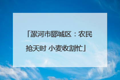 漯河市郾城区：农民抢天时 小麦收割忙