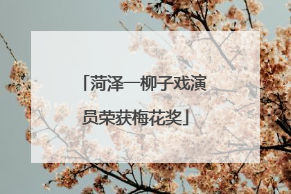 菏泽一柳子戏演员荣获梅花奖